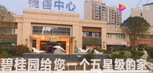 碧桂园美女总裁低调出手 其实我并不想成为首富
